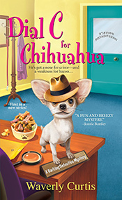 Dial C for Chihuahua